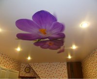 Фотопечать на потолке для кухни (цветы)