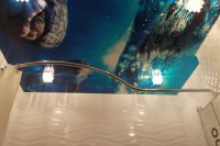 Натяжной потолок с фотопечатью (дельфины)