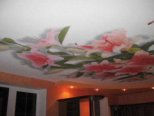 Студия с фотопечатью на потолке (цветы)